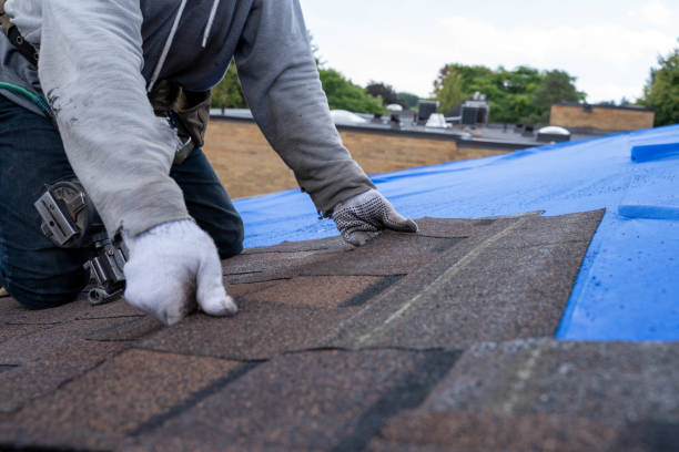 Best Roof Gutter Cleaning  in Mountain Road, VA